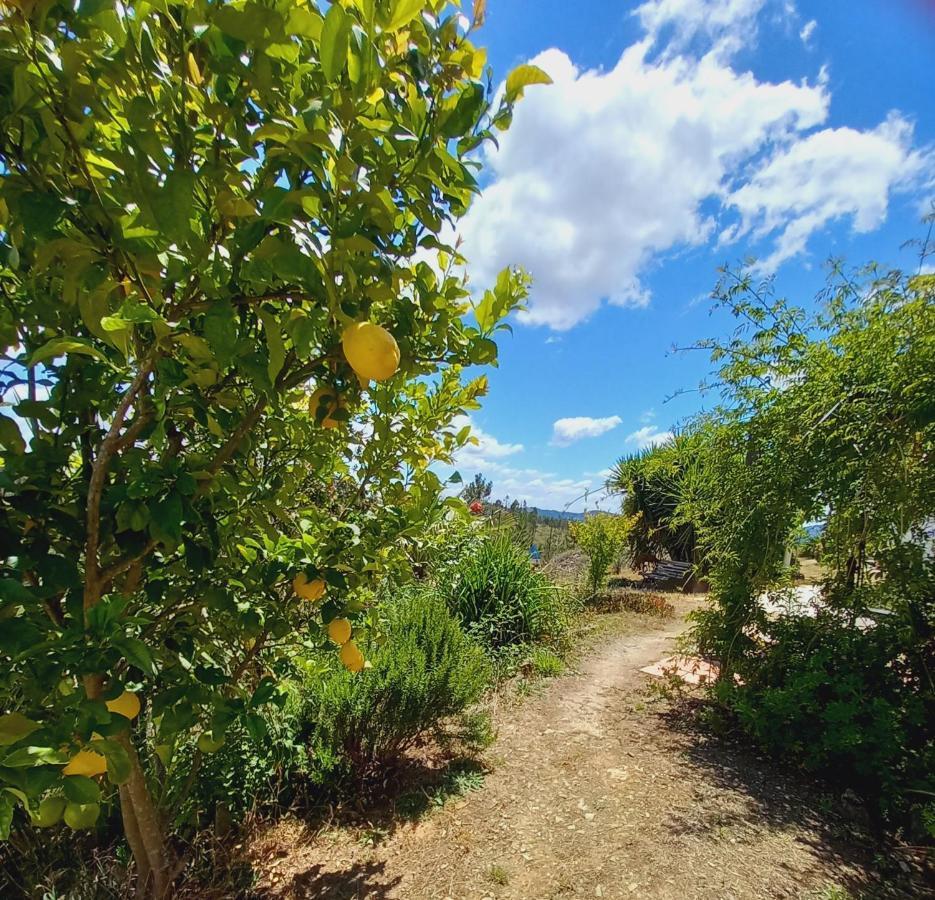 Vale De Garcia Al 5357 Villa Colos  Kültér fotó